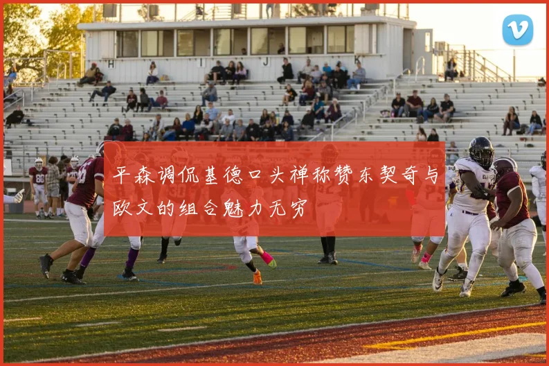 平森调侃基德口头禅称赞东契奇与欧文的组合魅力无穷