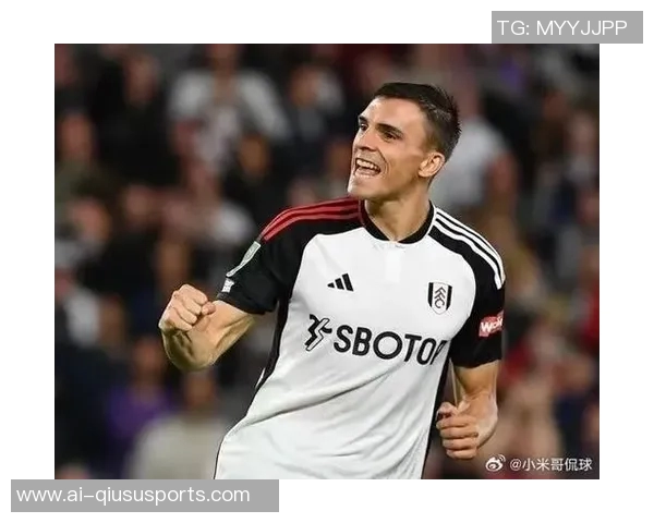 英媒透露本坦库尔将续约热刺同时球队有意买断帕利尼亚 英媒透露本坦库尔将续约热刺同时球队有意买断帕利尼亚