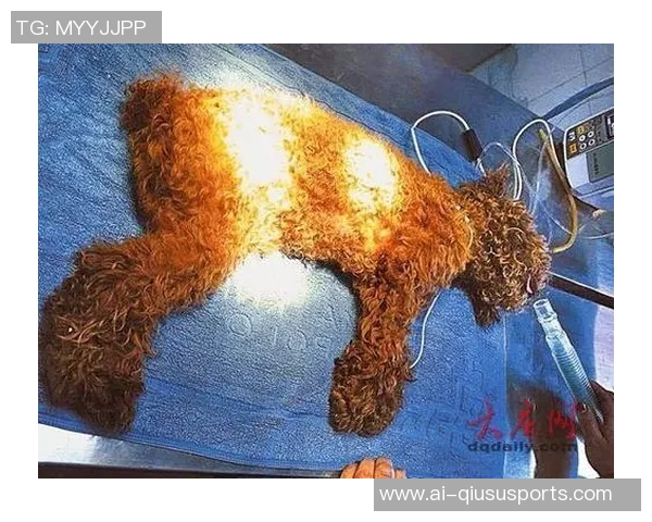 张伯霖分享摇篮舞庆祝喜讯家中爱犬迎来两只可爱小狗出生